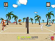 BeachVolleyball Game